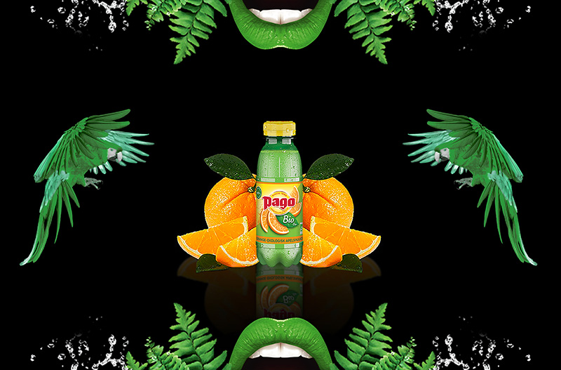 Jus PAGO Orange BIO 12x33CL PET