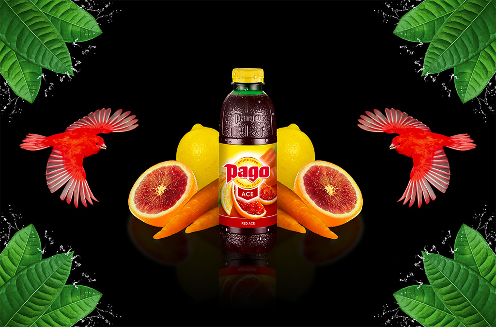 Jus PAGO RED ACE 6x75CL PET