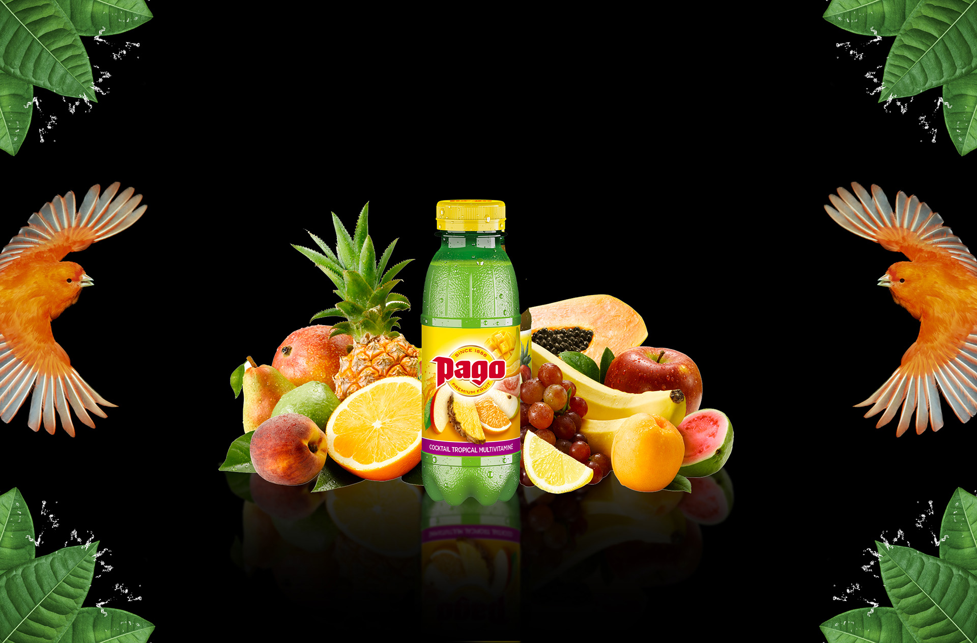 Jus PAGO Tropical Multiv. 12x33CL PET