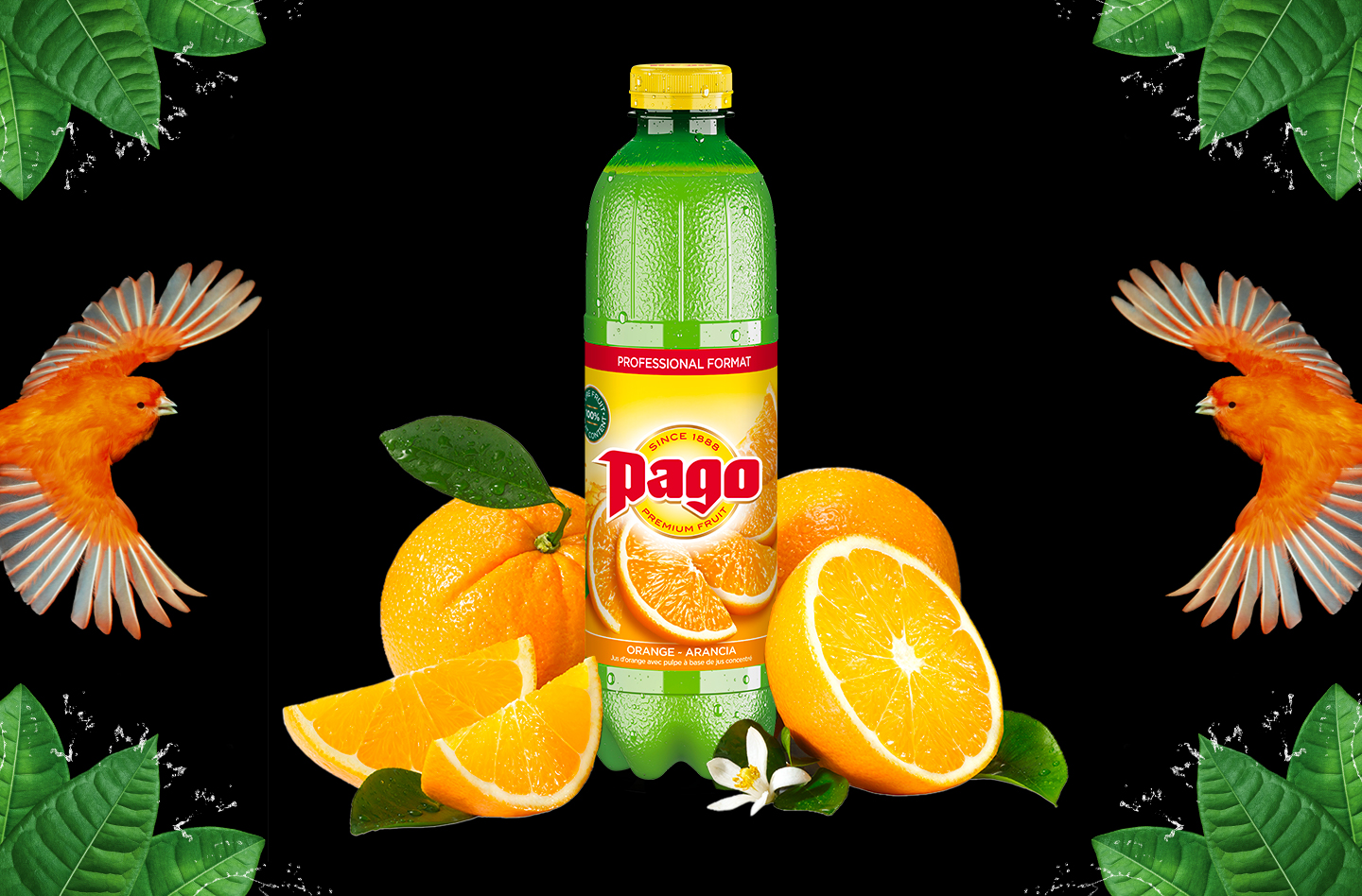 Jus PAGO Orange 6x1L PET