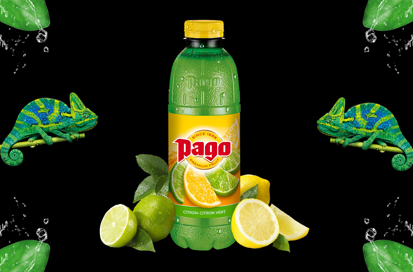 Jus PAGO Citron/Citron-Vert 6x75CL PET