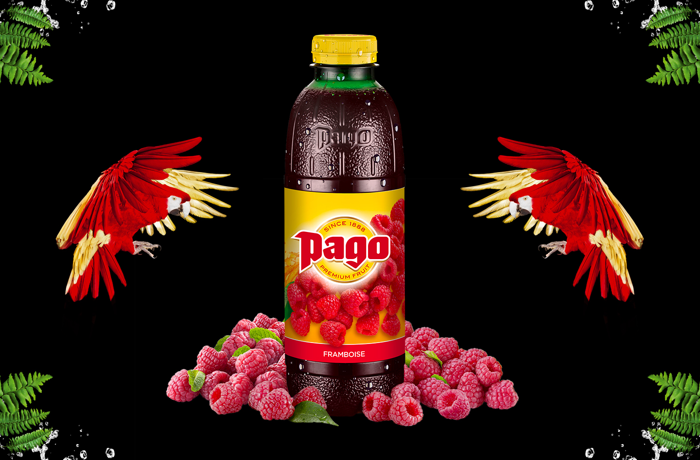 Jus PAGO Framboise 6x75CL PET