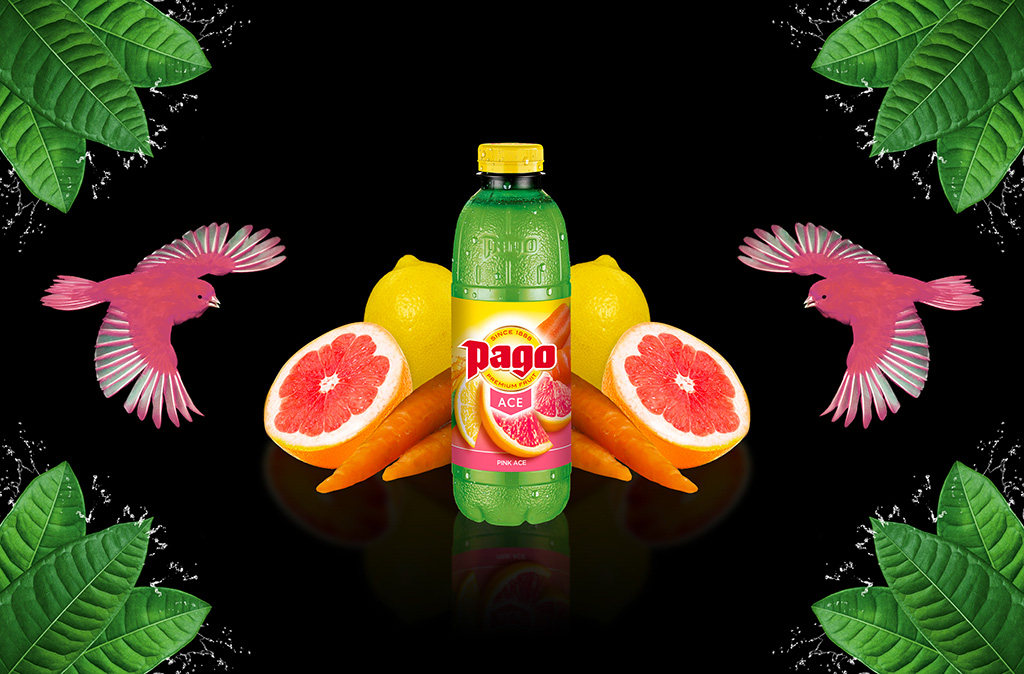 Jus PAGO PINK ACE 6x75CL PET