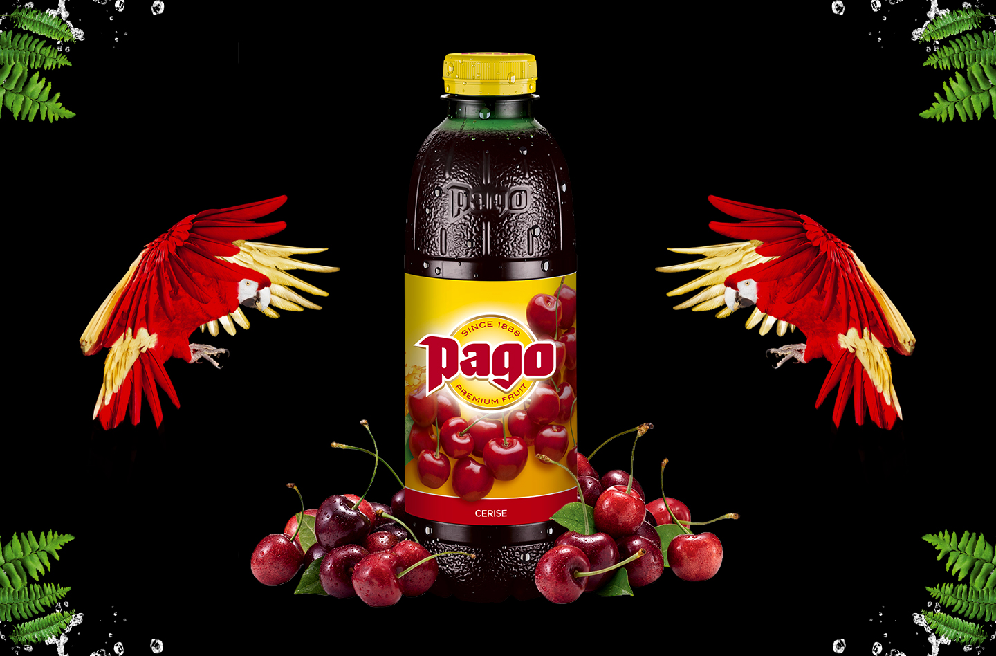 Jus PAGO Cerise 6x75CL PET
