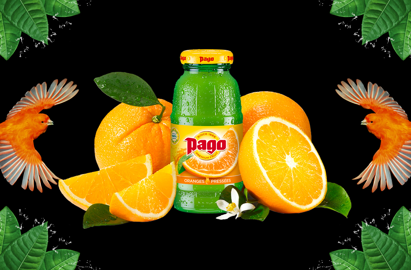 Jus PAGO Orange Pressées 12x20CL BV