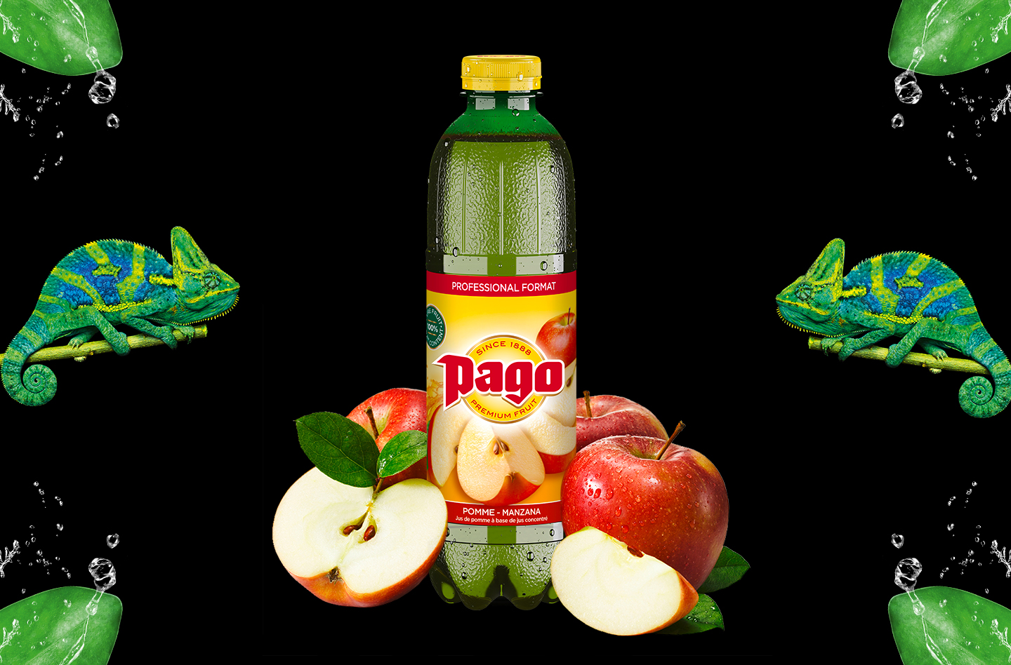 Jus PAGO Pomme 6x1L 100% PET