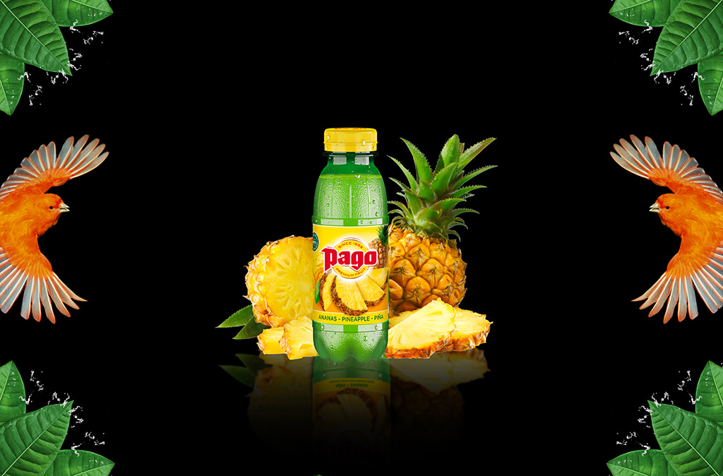 Jus PAGO Ananas 12x33CL PET