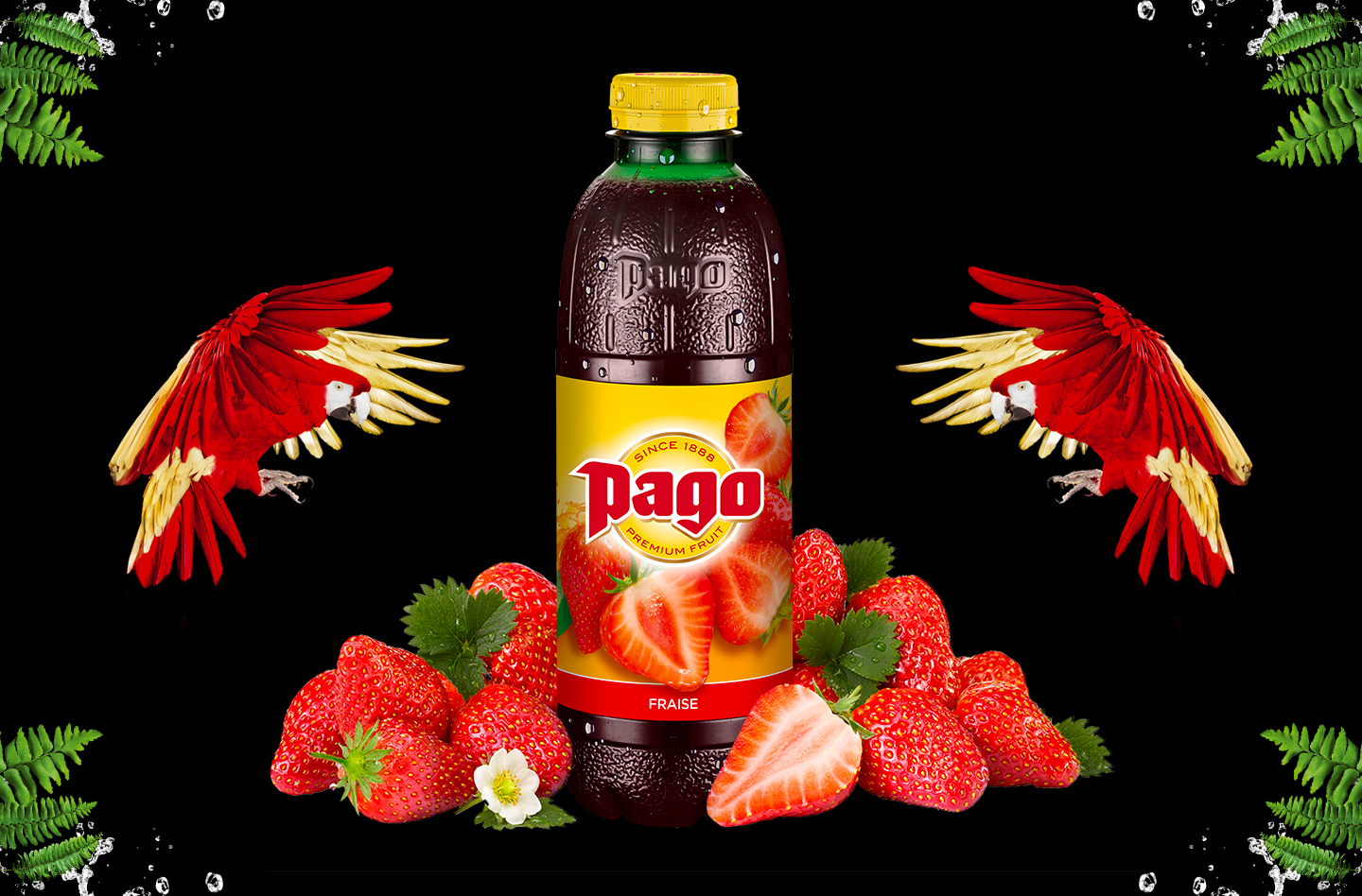 Jus PAGO Fraise 6x75CL PET