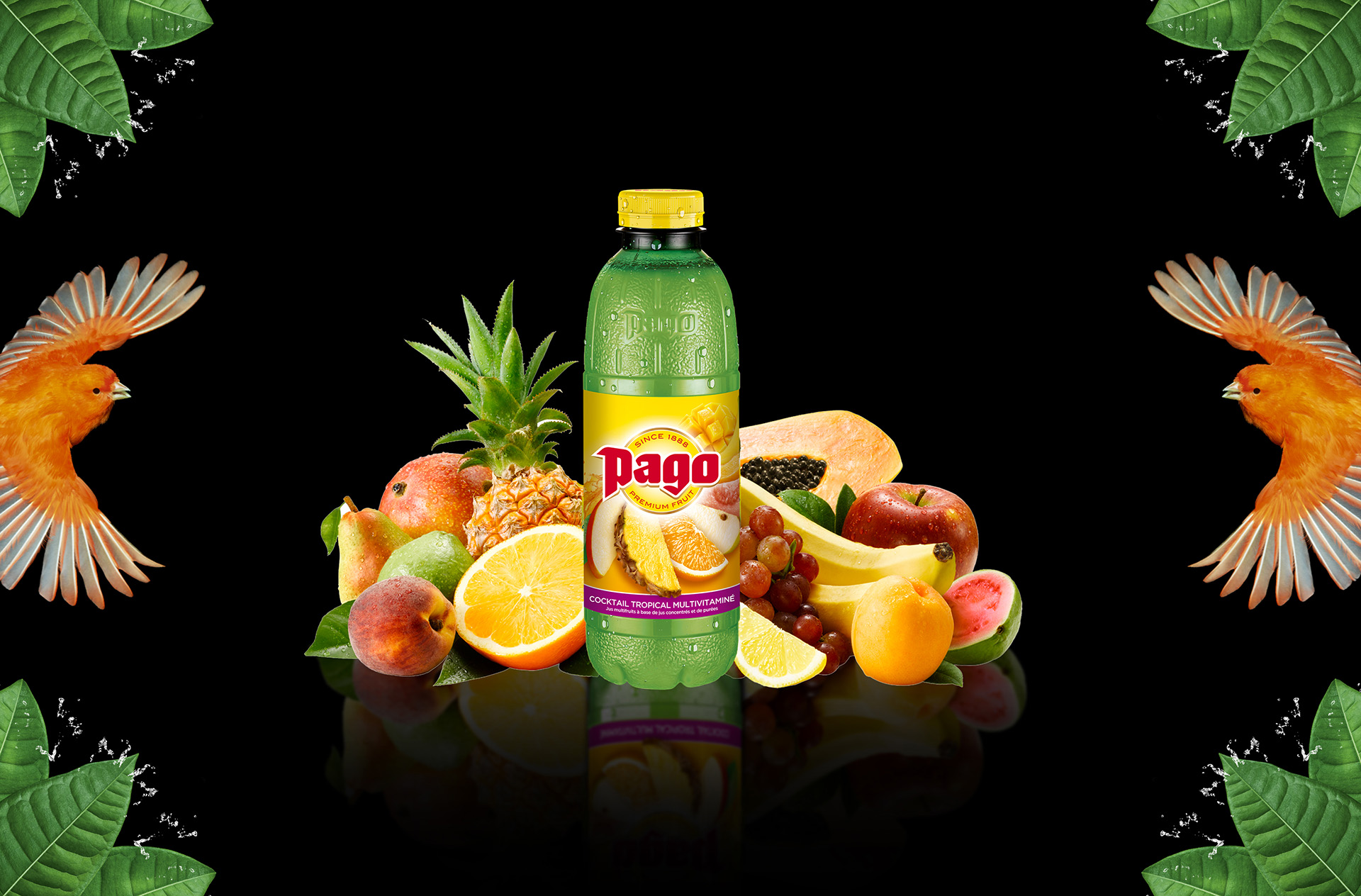 Jus PAGO Cocktail Tropical Multivi. 6x75CL PET