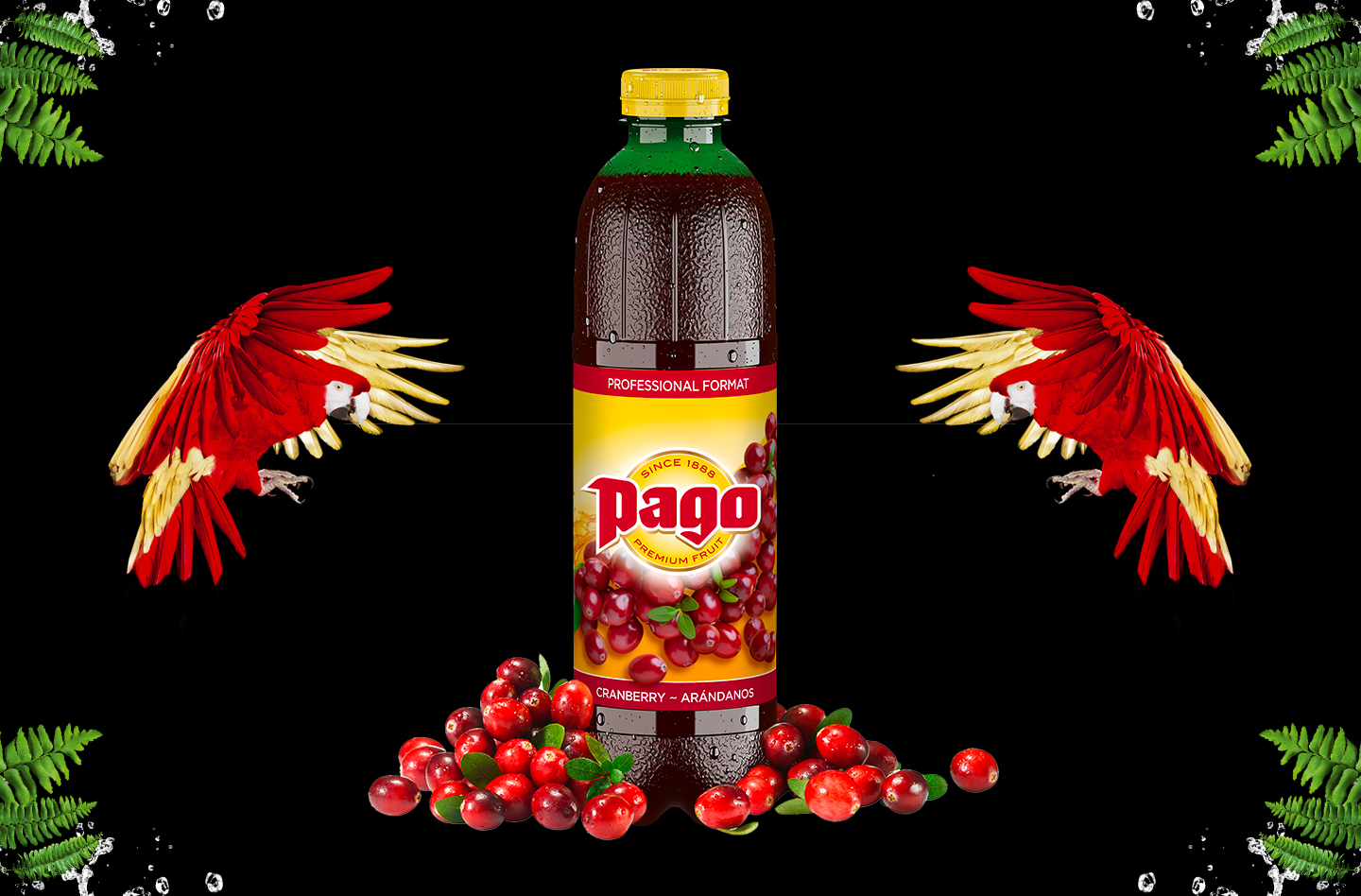 Jus PAGO Cranberry 6x1L PET