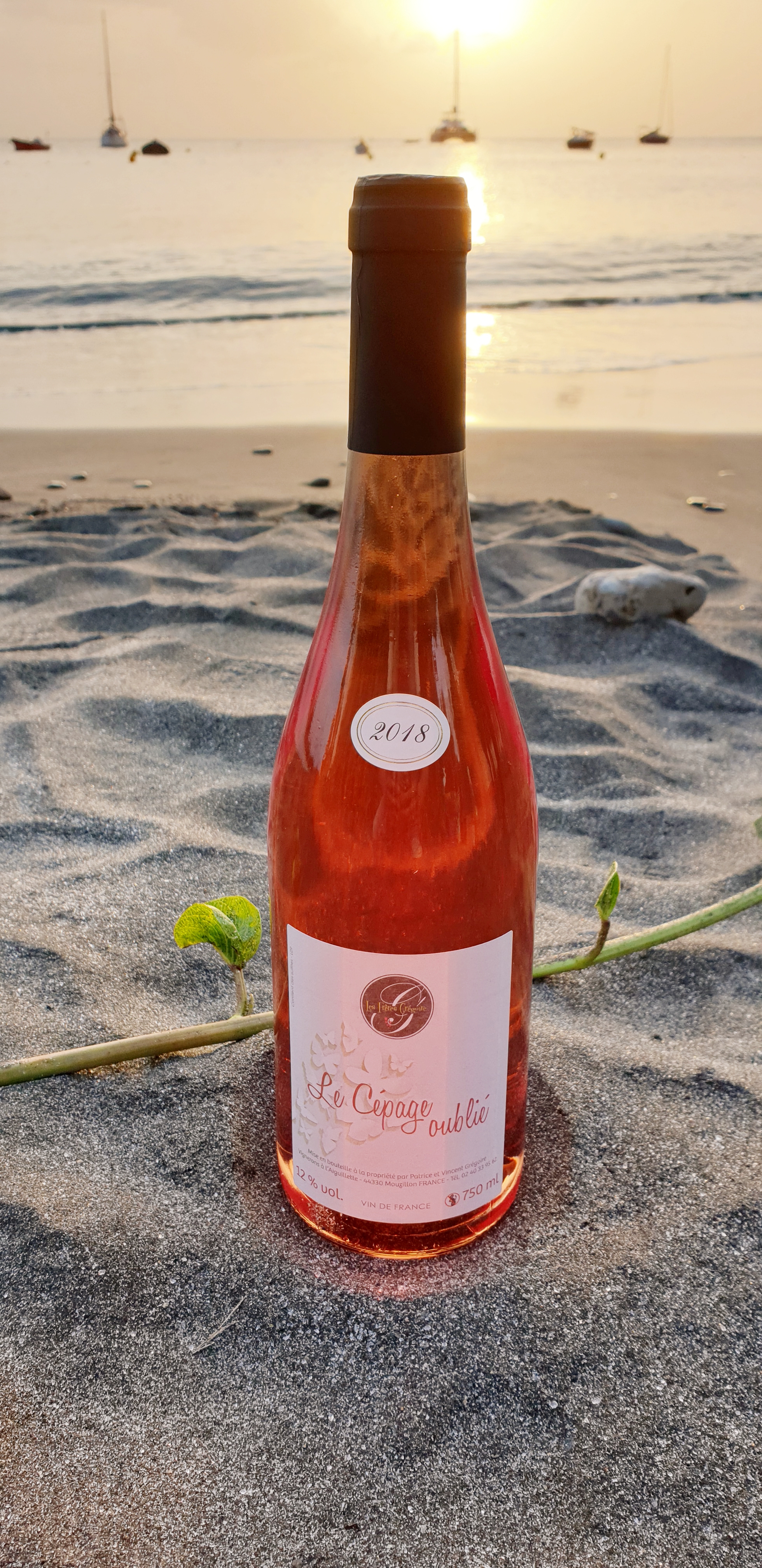 Vin Rosé Cépage Oublié 75 CL à 12°